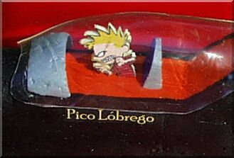 Platic Pit