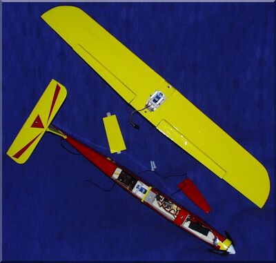 Wing, fuselage and hatches.