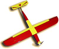 Balsa pylon racer.