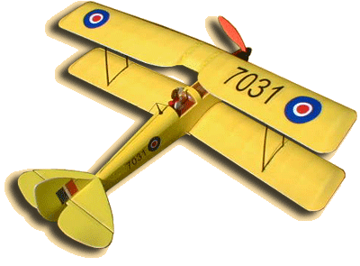 7031
